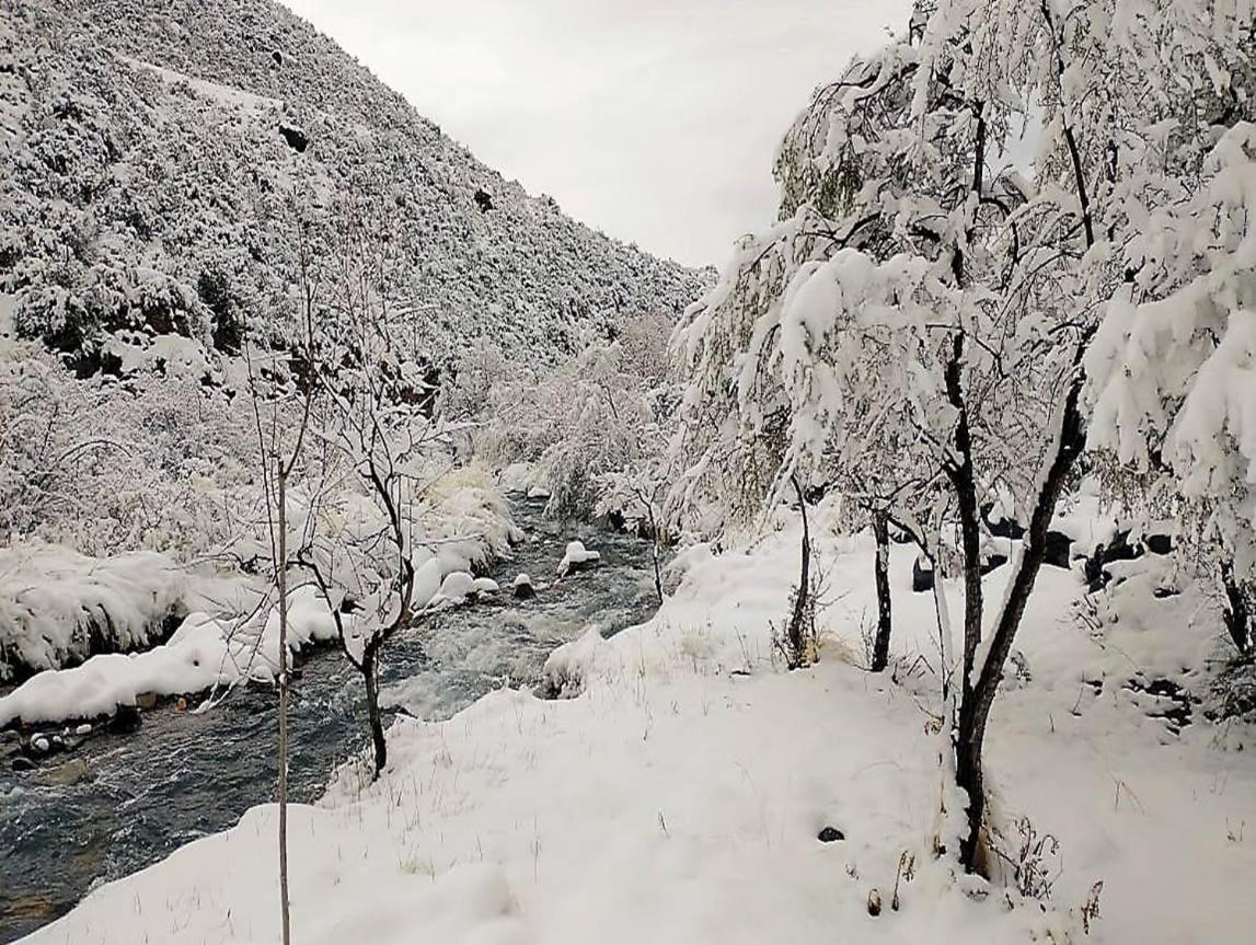El Molino Potrerillos